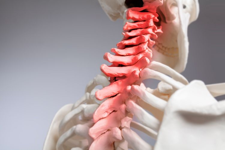 Focus on the Upper Cervical Spine