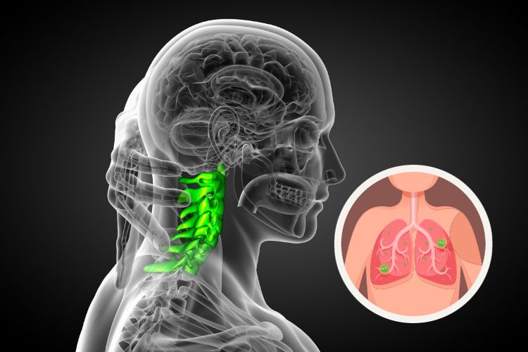 The Respiratory Revolution: Benefits of Aligning Your Upper Cervical Spine