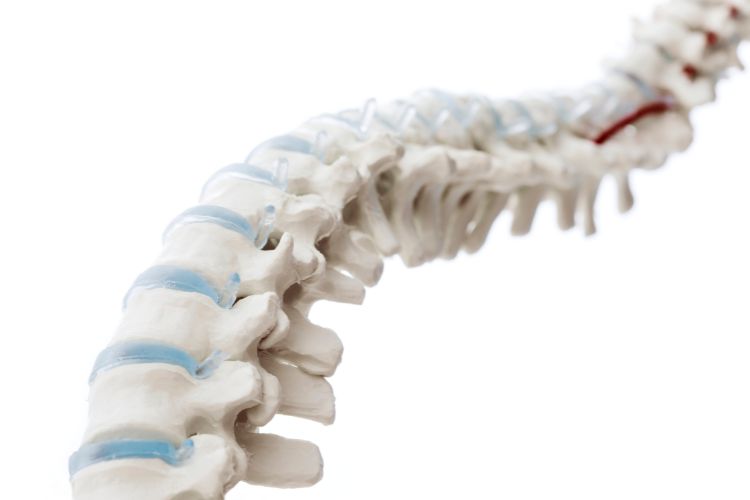 Soothing the Spine: Upper Cervical Chiropractic’s Role in Easing Disc Discomfort