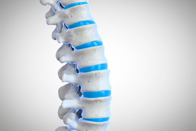 The Spine’s Sentinel: Embracing Upper Cervical Chiropractic for Spinal Health